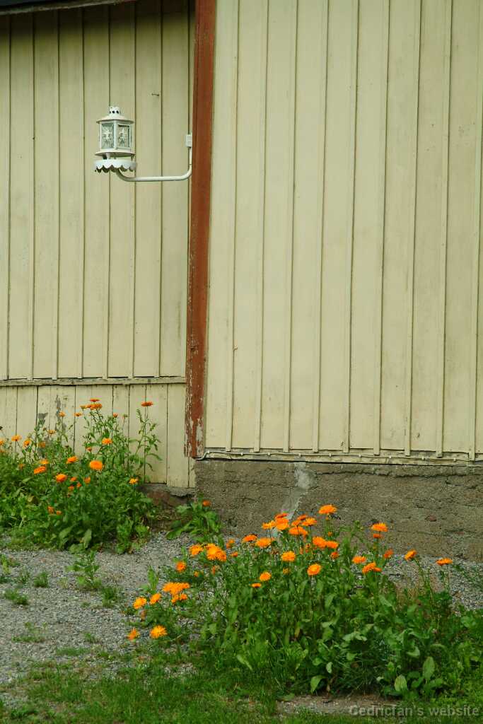 DSCF0733