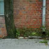 DSCF0738