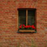 DSCF0740
