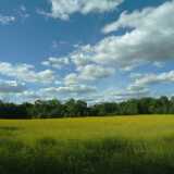 DSCF0704