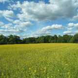 DSCF0710