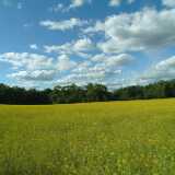 DSCF0712
