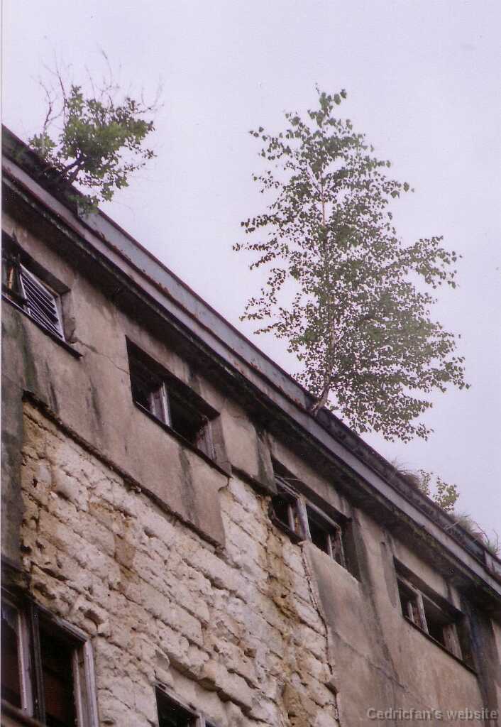 Hightree