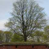 07 Spring Ruissalo & Kuusisto