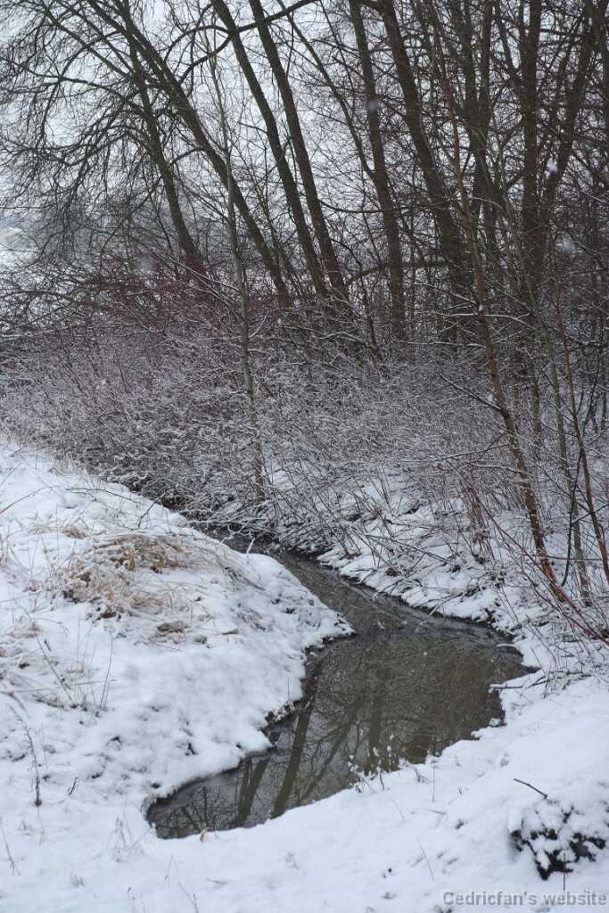 DSCF0486