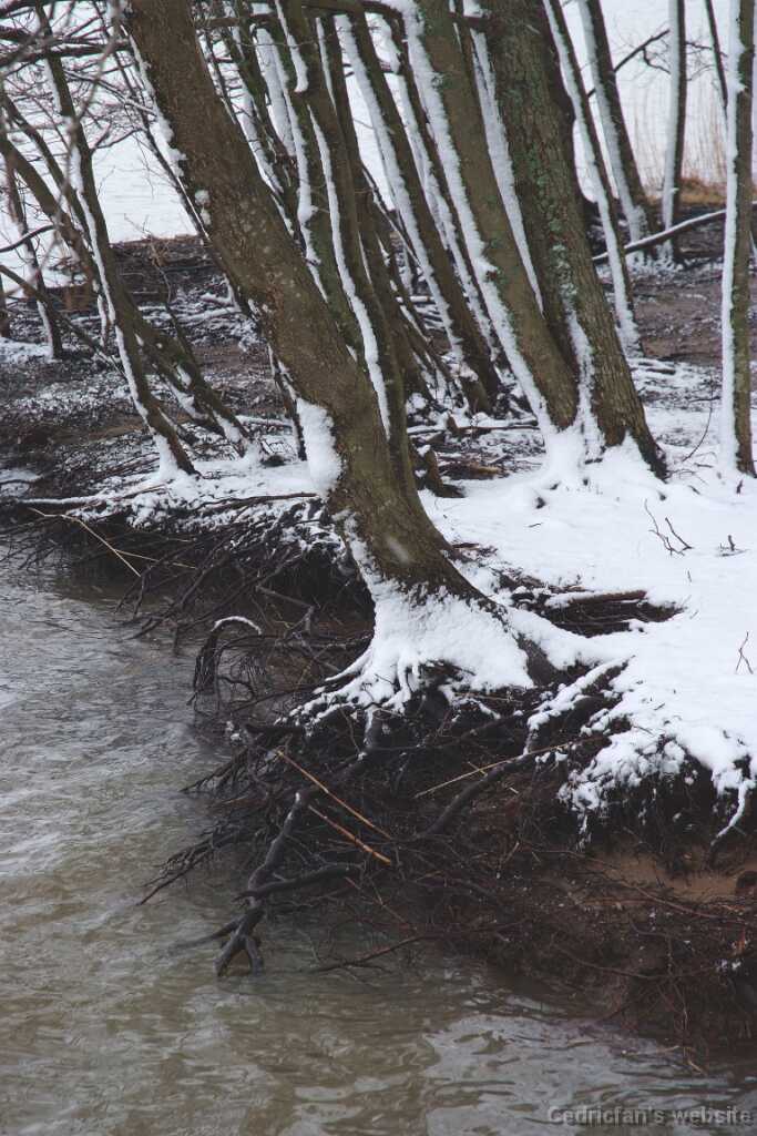 DSCF0489