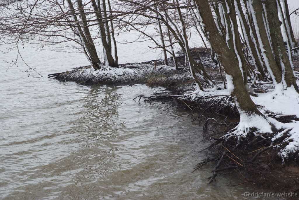 DSCF0490