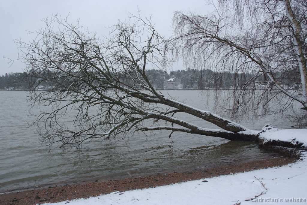DSCF0493