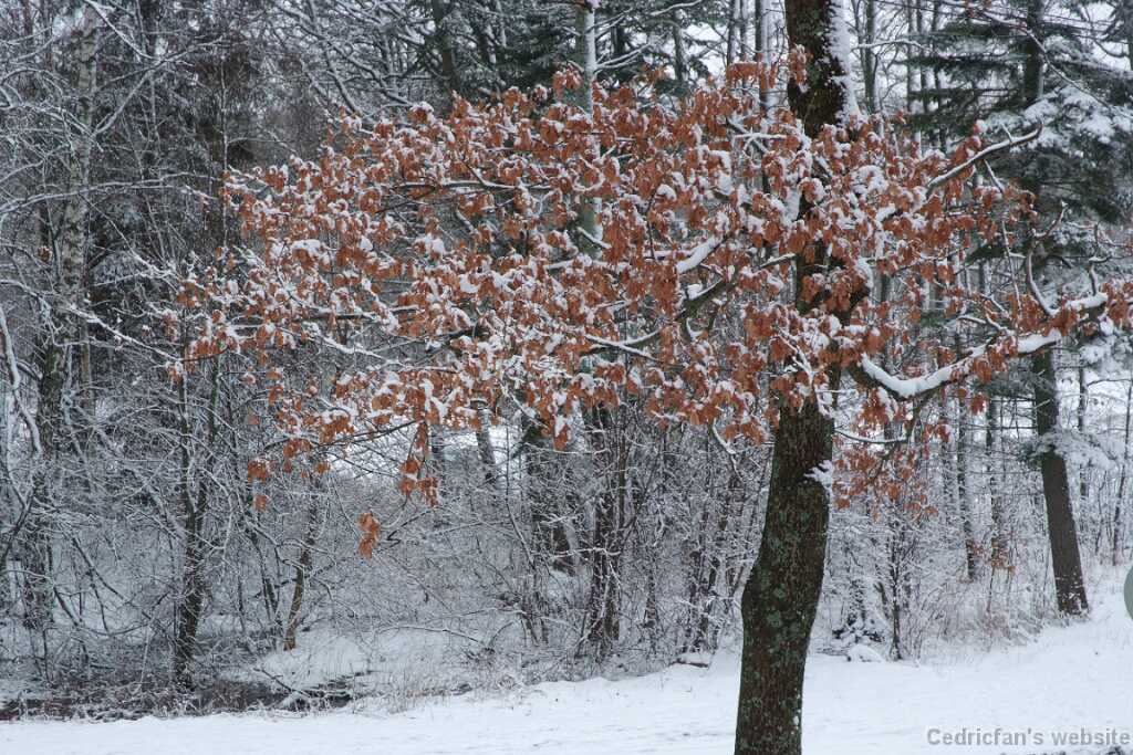 DSCF0503