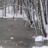 DSCF0479