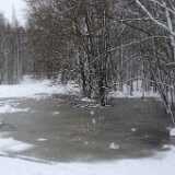DSCF0480