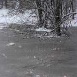 DSCF0481