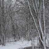 DSCF0482