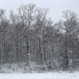 DSCF0485