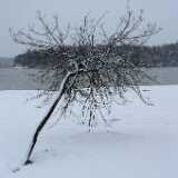 DSCF0487
