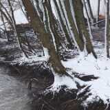 DSCF0489
