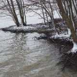 DSCF0490