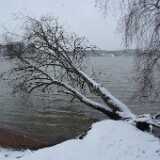 DSCF0492
