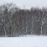 DSCF0505