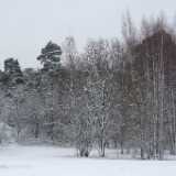 DSCF0506
