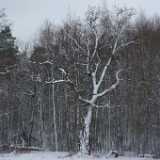 DSCF0507