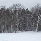 DSCF0508