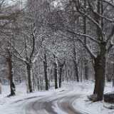 DSCF0509