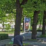 DSCF1901