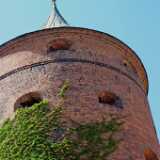 DSCF1915
