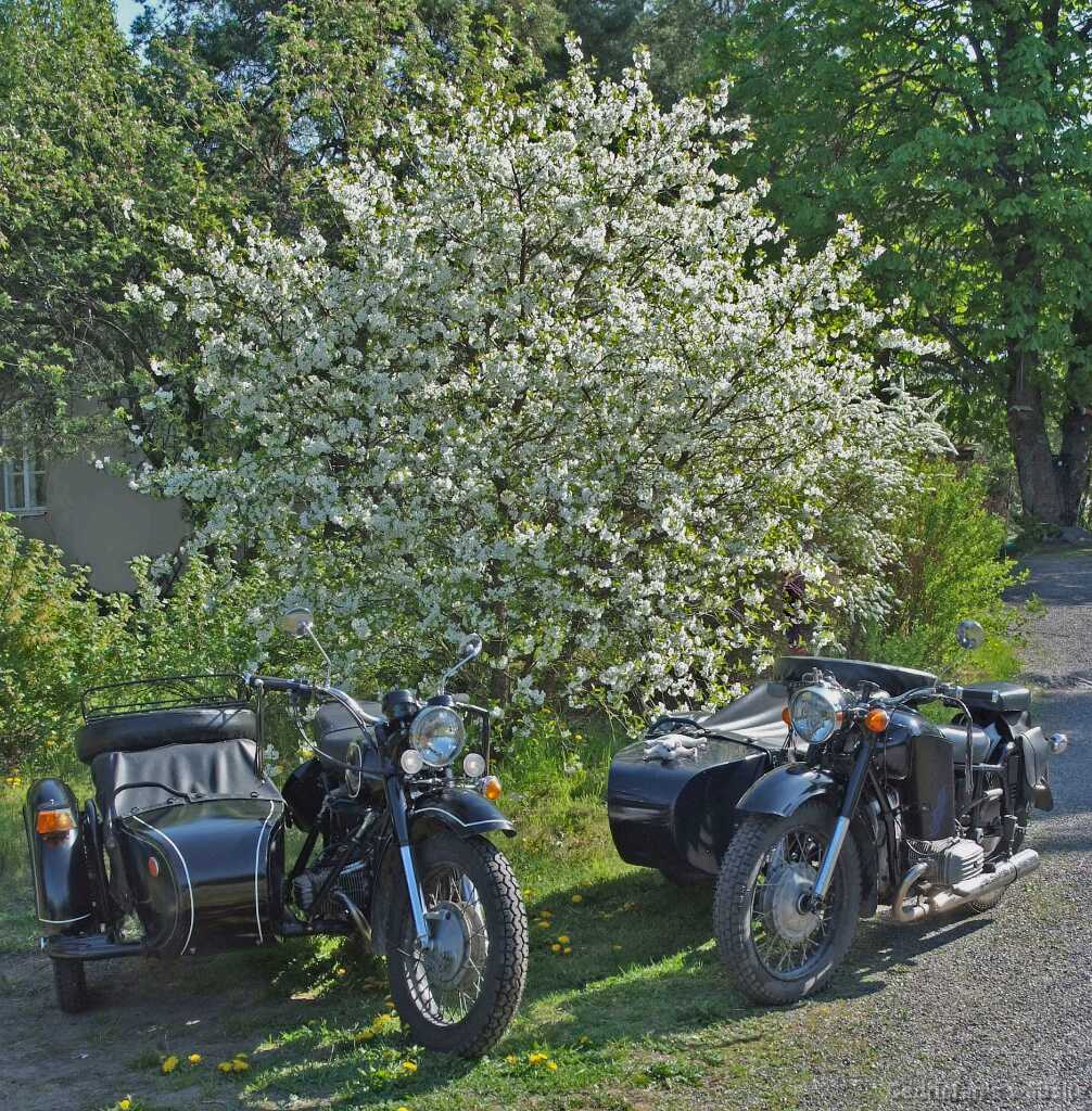CherryBikes