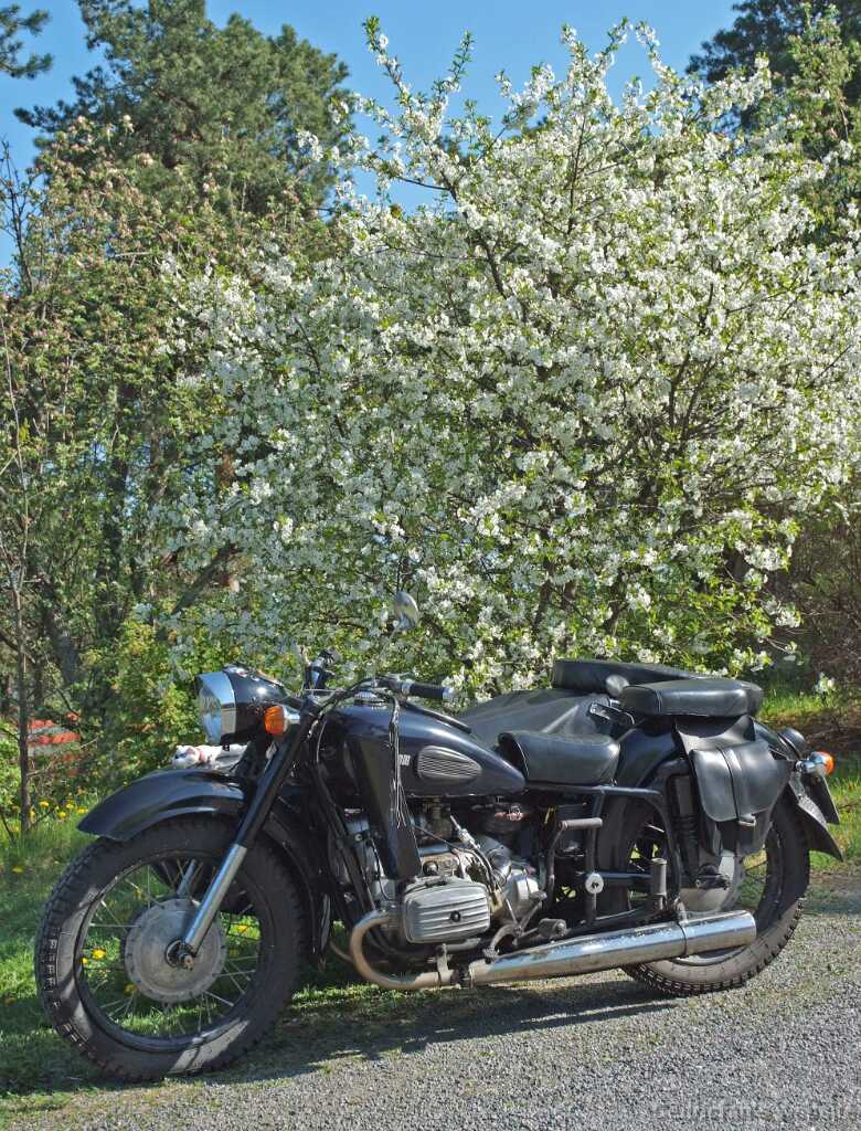 CherryKustom