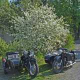 CherryBikes