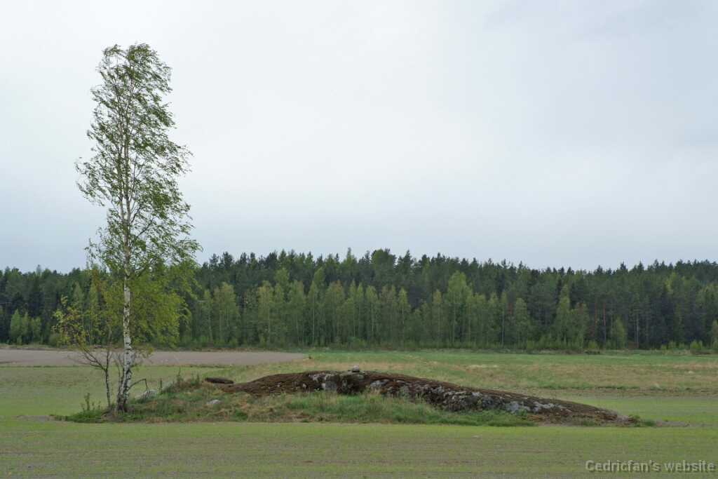 DSCF1601