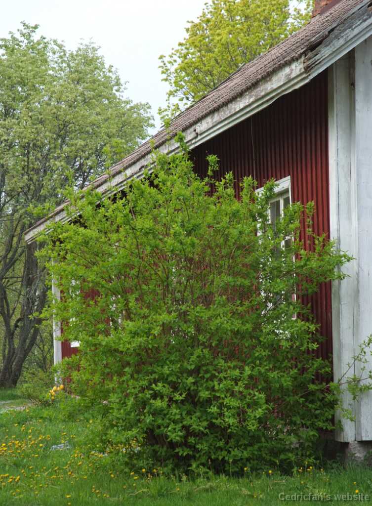 DSCF1613