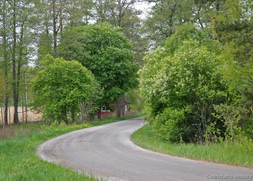 DSCF1638