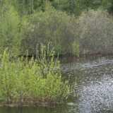 DSCF1608