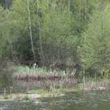 DSCF1610