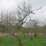 DSCF1625