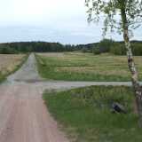 DSCF1627