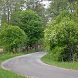 DSCF1638