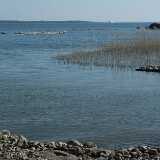DSCF1424