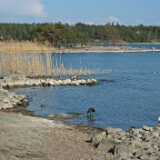 DSCF1425