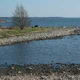 DSCF1441