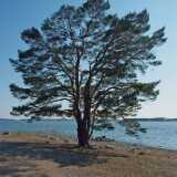 DSCF1447
