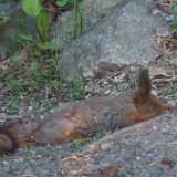 1DSCF0938