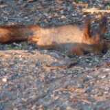1DSCF0940