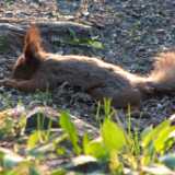 1DSCF0964