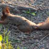 1DSCF0973