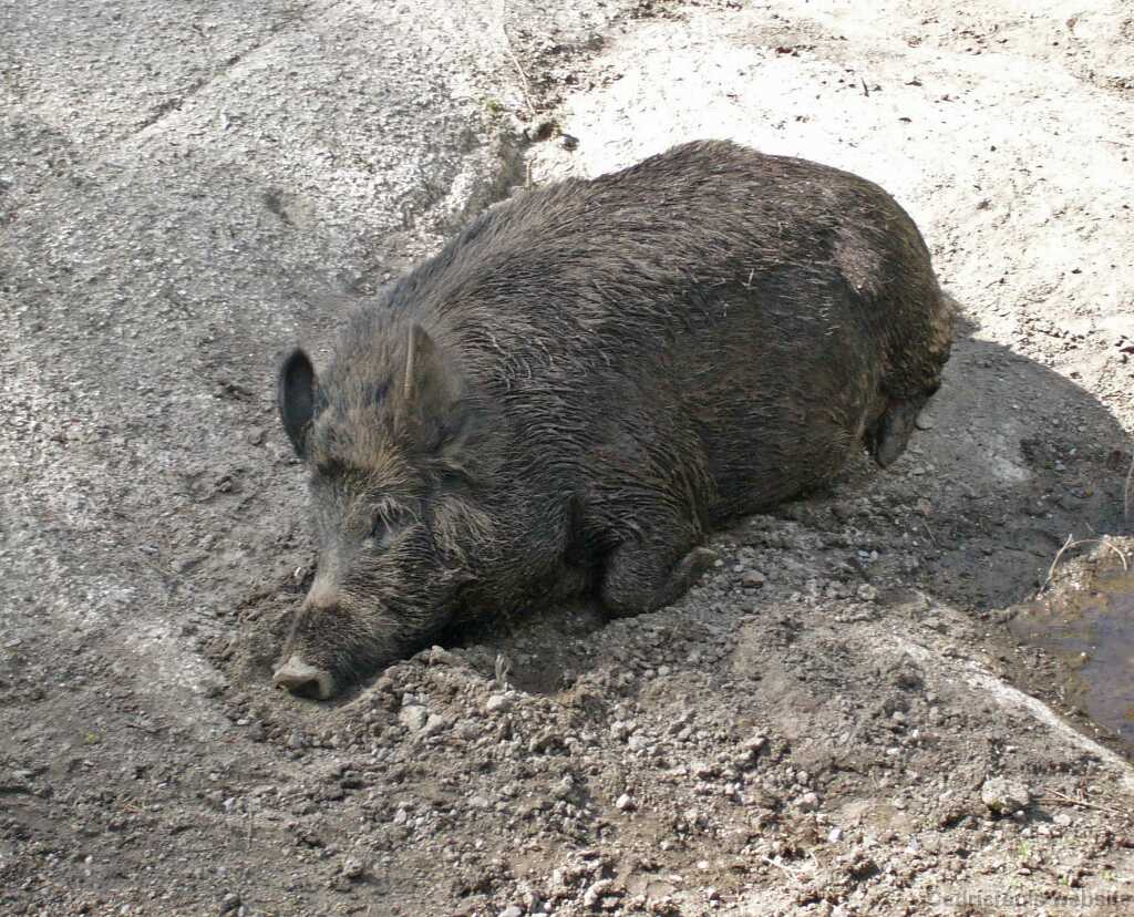 L1020261