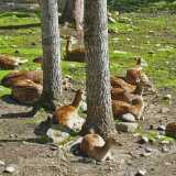 Pohjanmaa on bike Ähtäri